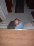 Atticus climbing down the stairs_th.jpg 2.9K